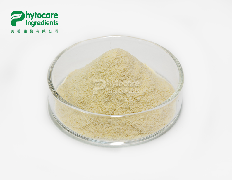 Best Banana Powder